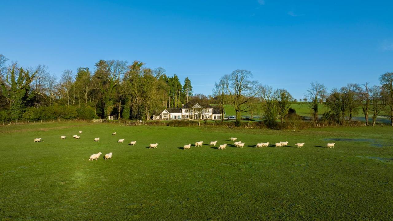 Plas Y Dderwen Bed And Breakfast Aberystwyth Ngoại thất bức ảnh