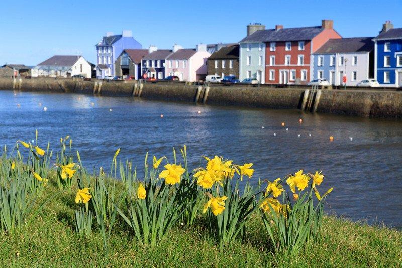 Plas Y Dderwen Bed And Breakfast Aberystwyth Ngoại thất bức ảnh