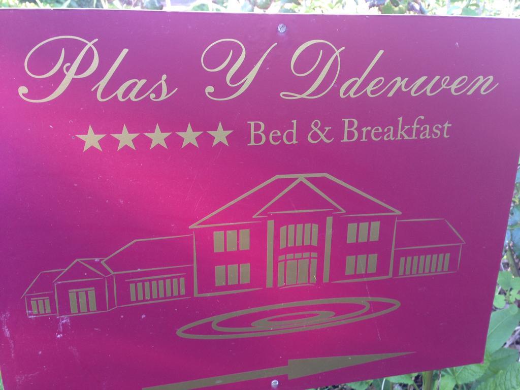 Plas Y Dderwen Bed And Breakfast Aberystwyth Ngoại thất bức ảnh